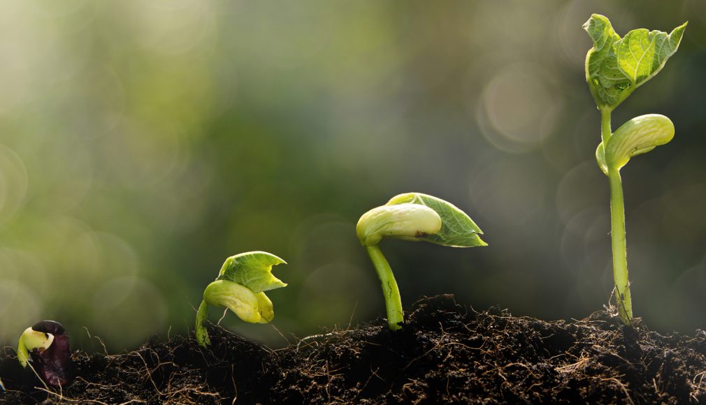 Inspirativní obrázek 3